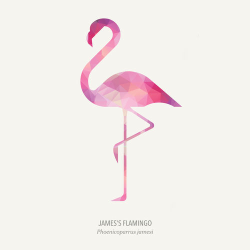 James-flamingo