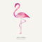 James-flamingo