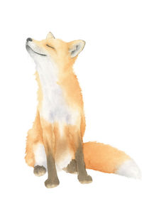Fox Watercolor by zapista