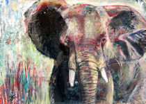 Elefant aus Südafrika by Renée König