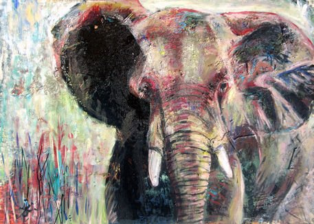 Afrik-elefant