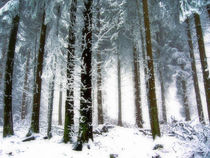 Winterwonderland von casselfornia-art