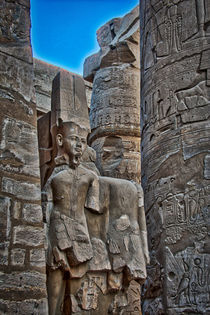 Pillars at Karnat Temple Luxor Egypt by Andy Doyle