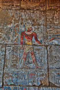 Hieroglyphics at Karnak Temple Luxor Egypt von Andy Doyle