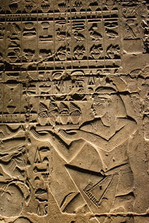 Luxor Temple Hieroglyphics at Night by Andy Doyle