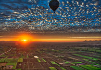 Hot Air Balloon at Sunrise in Luxor Egypt by Andy Doyle