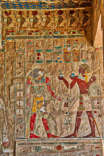 Hieroglyphics at Hatshepsut Temple Luxor by Andy Doyle