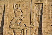 Temple of Horus at Edfu von Andy Doyle