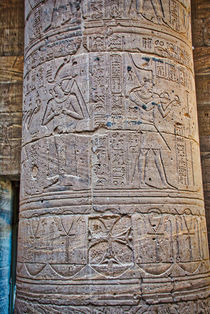 Hieroglyphics at Philae Temple in Aswan by Andy Doyle