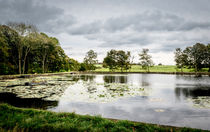 The view across Paul's Pond by Colin Metcalf
