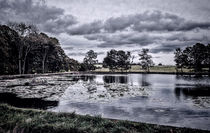 The view across Paul's Pond by Colin Metcalf