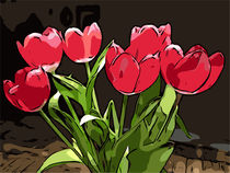Blumen Poster Tulpen - WelikeFlowers von Robert H. Biedermann