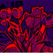 Blumenbilder-rote-tulpen