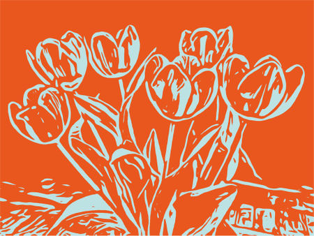 Blumenbilder-tulpen-orange