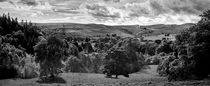 Northumbria Panorama von Colin Metcalf