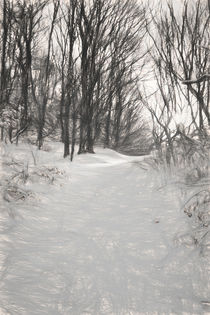 Snowy Walk von Colin Metcalf