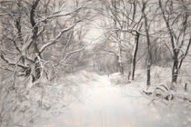 Snowy Walk von Colin Metcalf