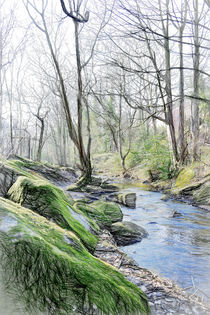 Woodland Stream by Colin Metcalf