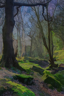 Winter Woodland von Colin Metcalf