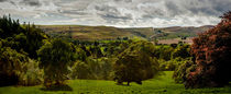 Northumbria Panorama by Colin Metcalf