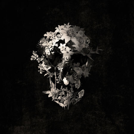 Spring-skull-monochrome