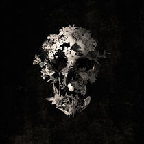Spring Skull von Ali GULEC