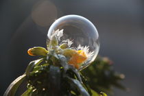 gefrorene Seifenblasen - Frozen Bubble  by frakn