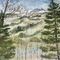 Mountain-painting-grand-teton-national-park