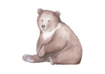 Bear Watercolor  von zapista