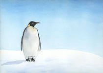 Penguin watercolor by zapista