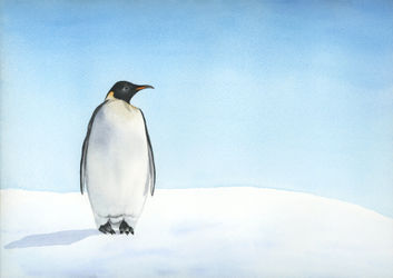 Penguin-faa