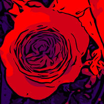 Red Rose 3 by Robert H. Biedermann