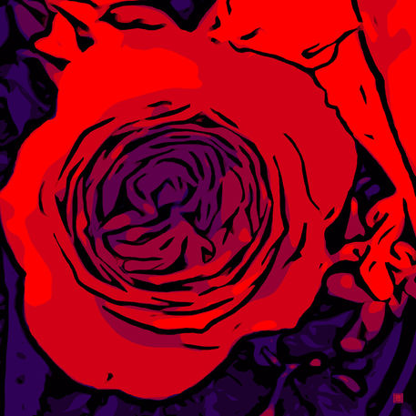 Blumenbilder-red-blue-v026
