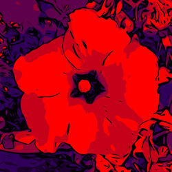 Blumenbilder-red-blue-v027