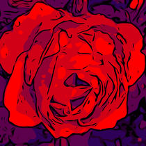 Blumen Poster Red Rose - welikeFlowers by Robert H. Biedermann