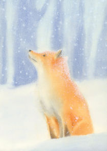 Fox in the snow by zapista