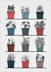 Plants by Dennson Creative