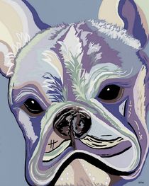 French Bulldog Denim Colors by eloiseart