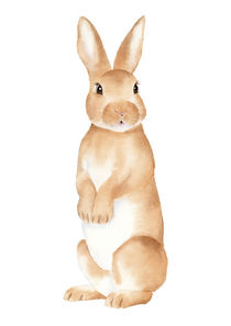Rabbit Watercolor von zapista