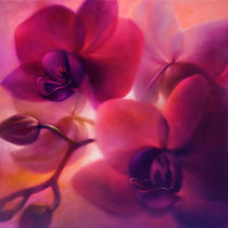 "Orchideen" von Annette Schmucker