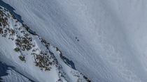 Up. Ski Touring von Tomas Gregor