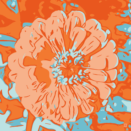 Blumenbilder-rhb-orange-3