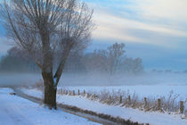 Ruhrwiesen im Winter von Bernhard Kaiser