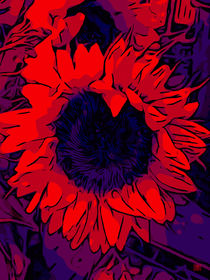 Blumen Poster Red Sunflower - WelikeFlowers von Robert H. Biedermann