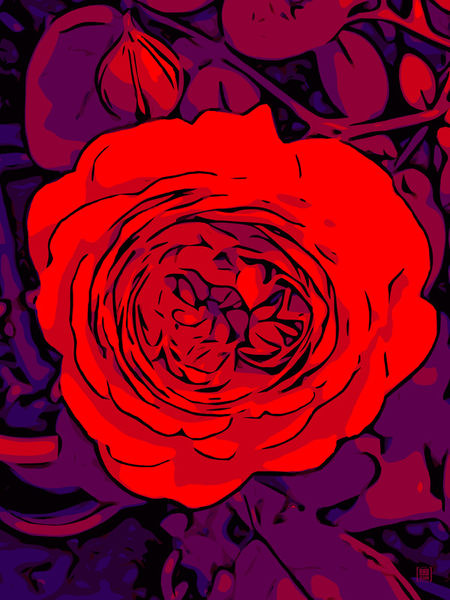 Blumenbilder-red-blue-100x75-11