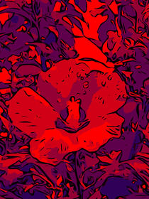 Blumen Poster Red Hibiskus 2 - WelikeFlowers by Robert H. Biedermann