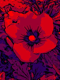 Blumen Poster Red Hibiskus - WelikeFlowers by Robert H. Biedermann