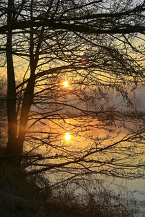 Kalter Morgen in warmen Farben von Bernhard Kaiser
