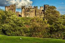 The Battlements of Caerphilly by Ian Lewis
