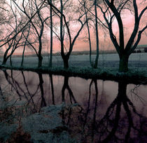 Reflection of beauty - Schönheit der Natur by casselfornia-art